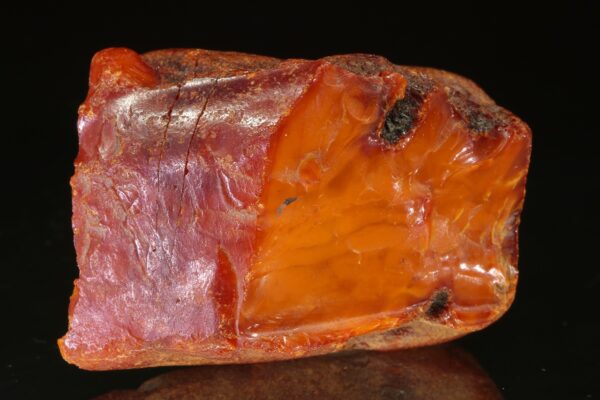 Jantar - Image 3