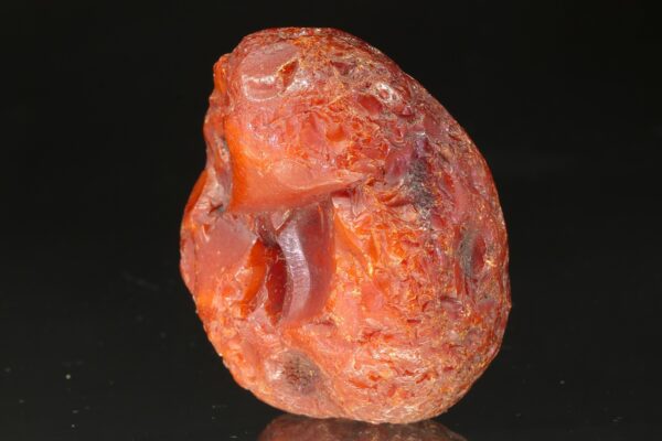 Jantar - Image 4
