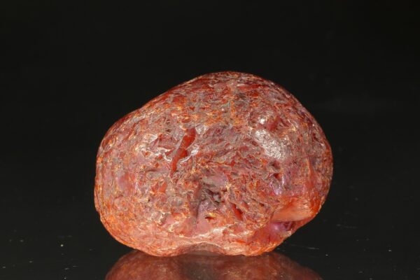 Jantar - Image 6