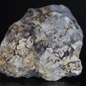 Kermezit, stibnite .