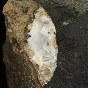 Zeophyllite