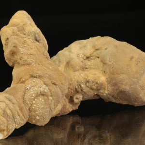Calcite concretion (cicvár) .