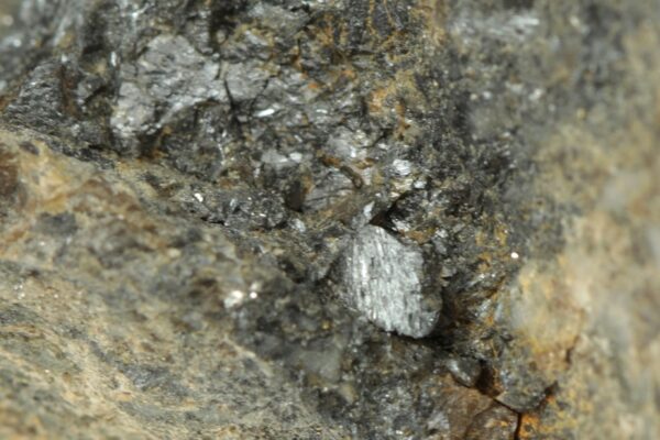 Robinsonit - Image 6