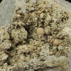 Tridymite, calcite