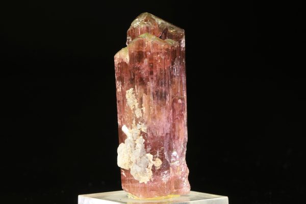 Elbait - Image 3
