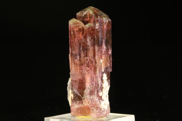 Elbait - Image 4
