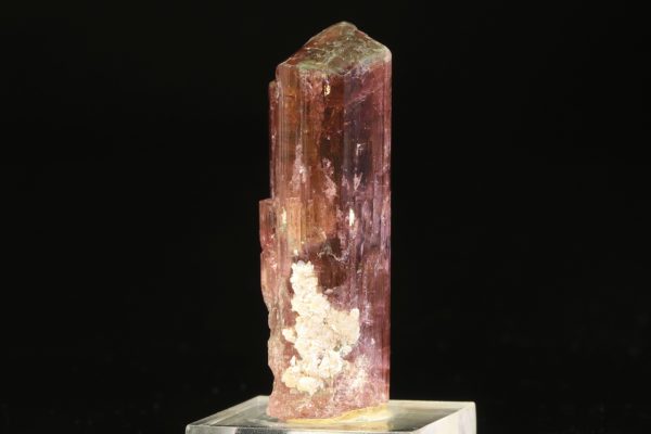 Elbait - Image 5