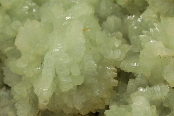 Prehnit - Image 6