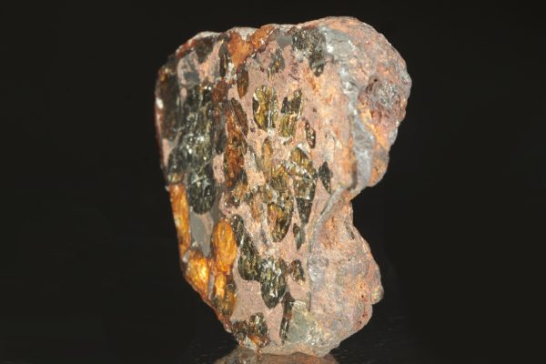 Pallasit - Image 2