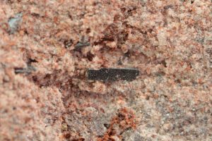 Pseudobrookit