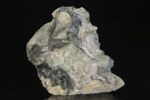 Kamiokit, molybdenit
