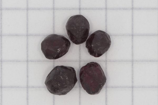 Pyrope - Image 3