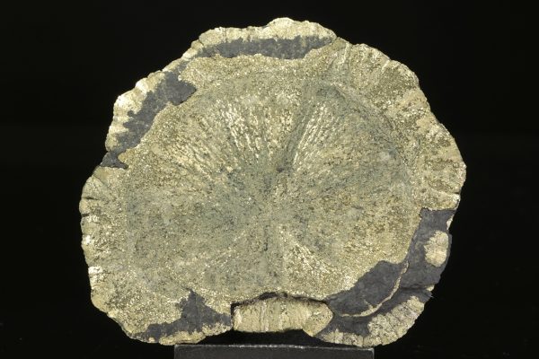 Pyrit - Image 3