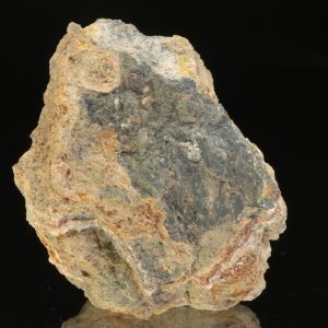 Violarit
