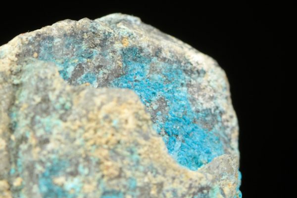 Lavendulan – Bild 4