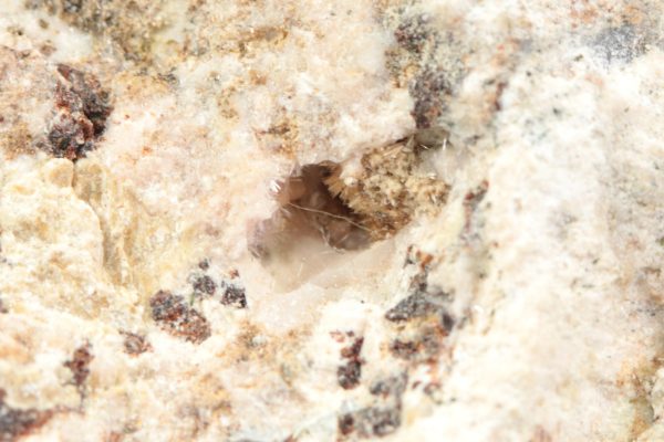 Mountainit, bornemanit - Image 9