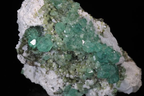 Démantoid - Image 9