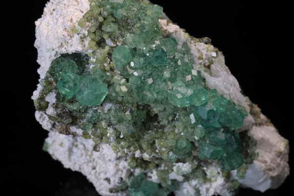 Démantoid - Image 10