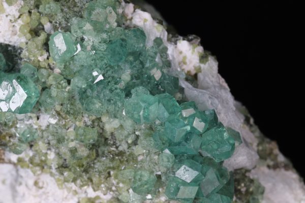 Démantoid - Image 12