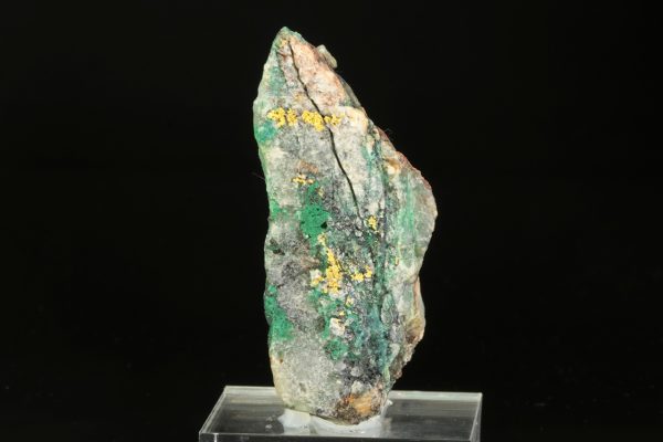 Zlato - Image 3