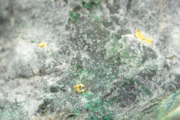 Zlato - Image 6