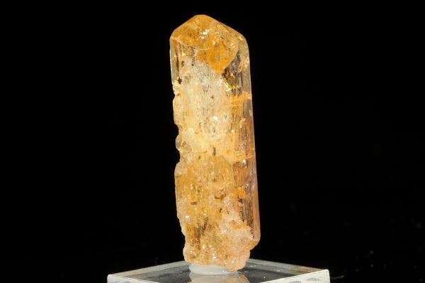 Zlatý topaz - Obrázek 4