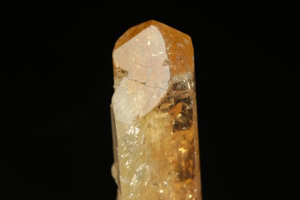 Zlatý topaz - Obrázek 5