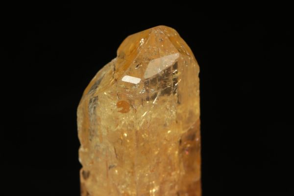 Zlatý topaz - Obrázek 6