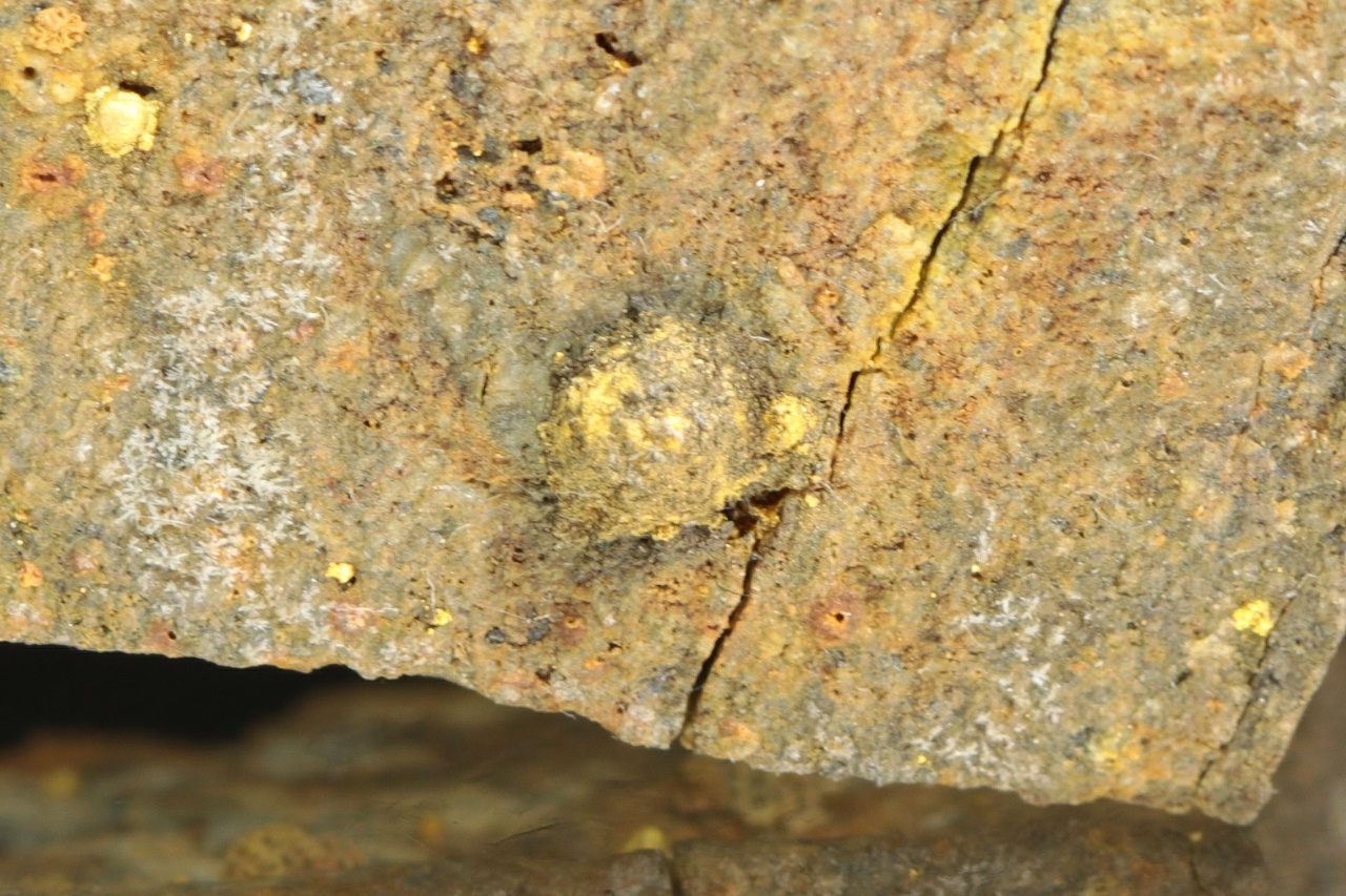 Calaverit (pražená ruda) - Obrázek 8