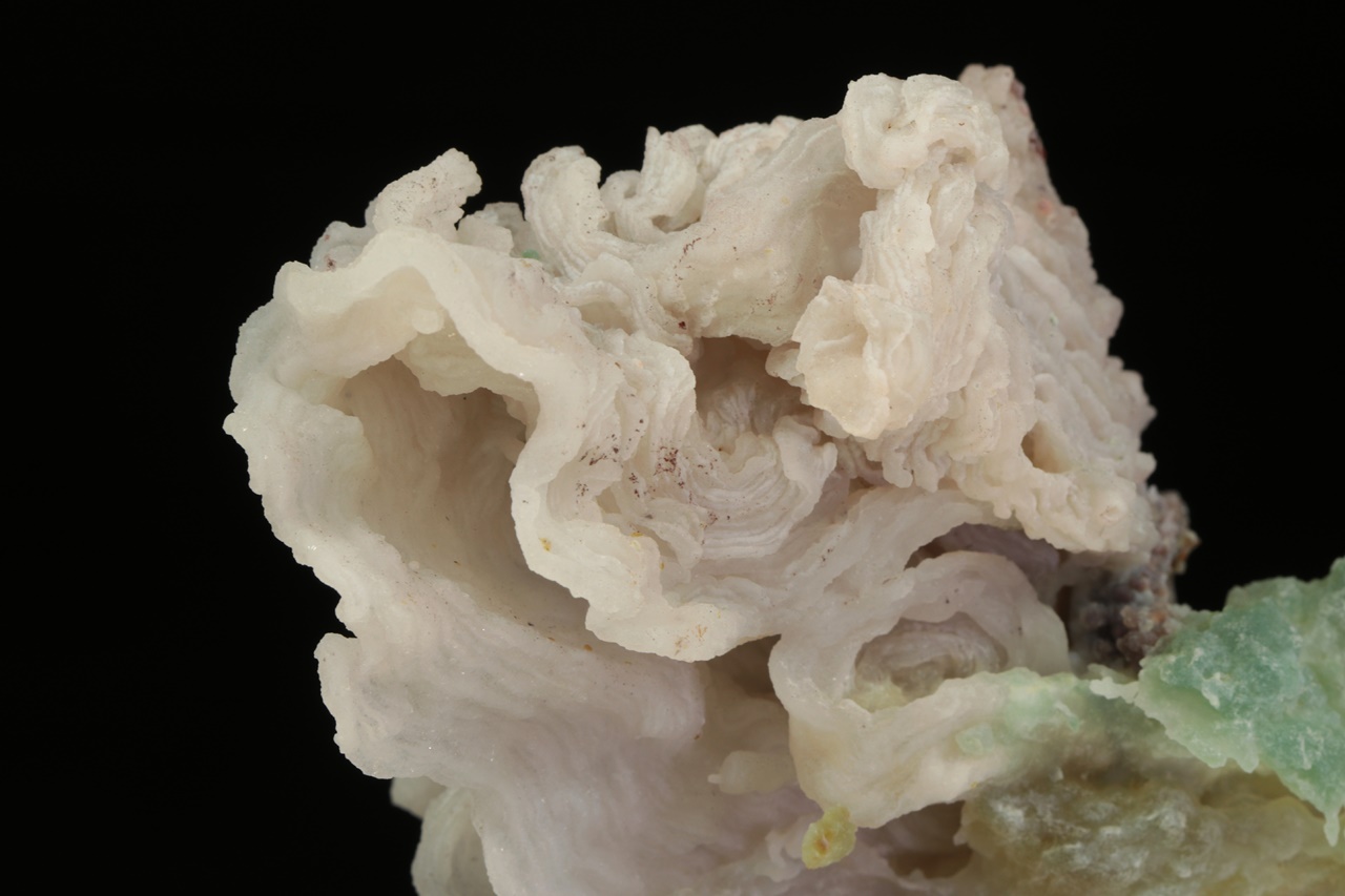 Chalcedon - Obrázek 10