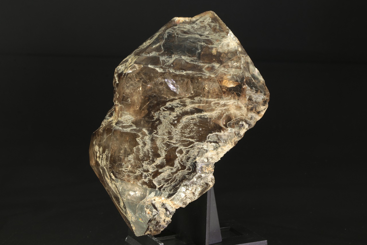 Záhněda - Obrázek 4