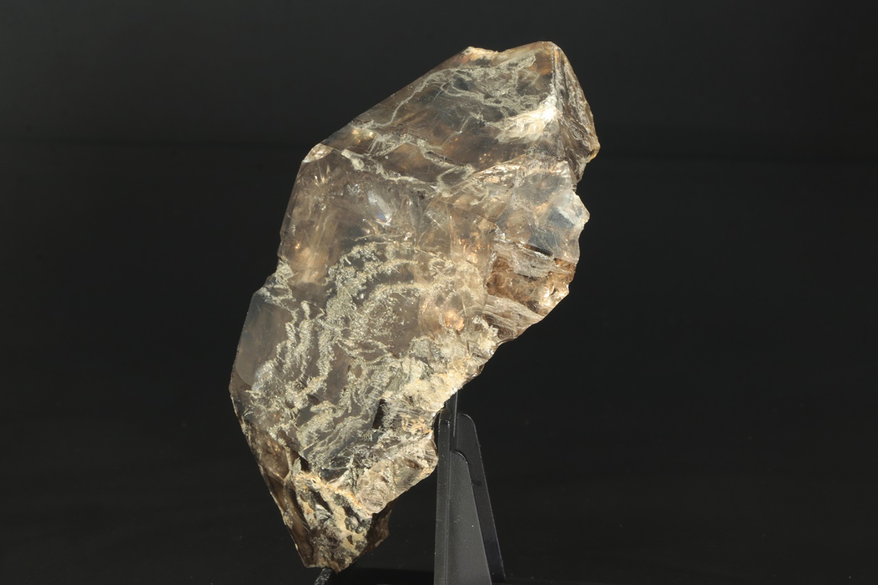 Záhněda - Obrázek 5