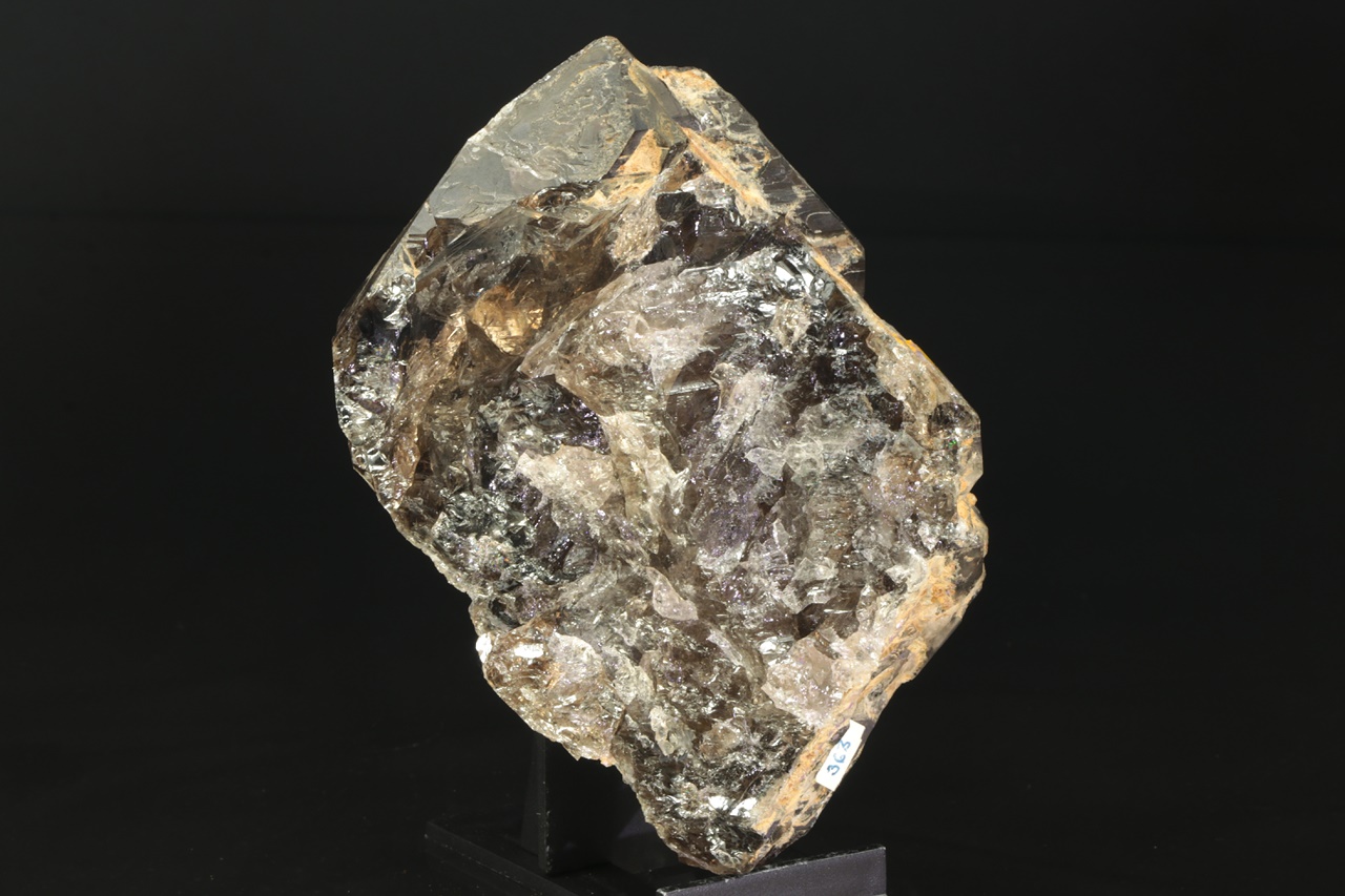 Záhněda - Obrázek 6