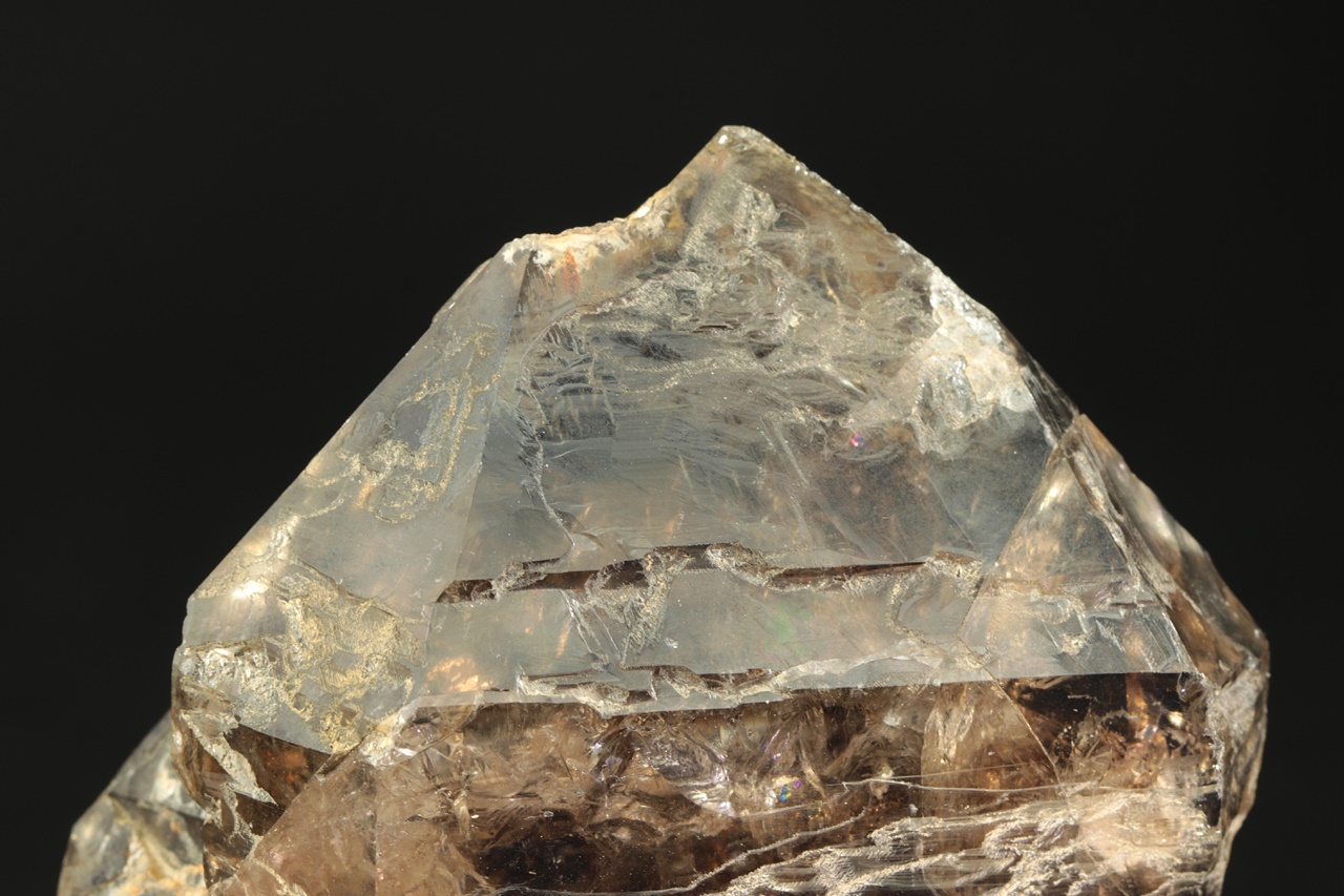 Záhněda - Obrázek 7