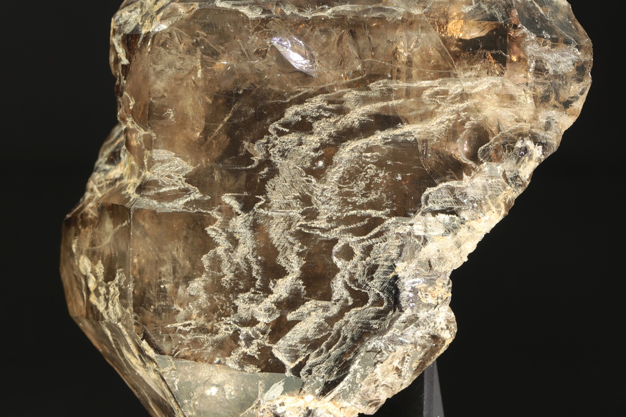 Záhněda - Obrázek 8