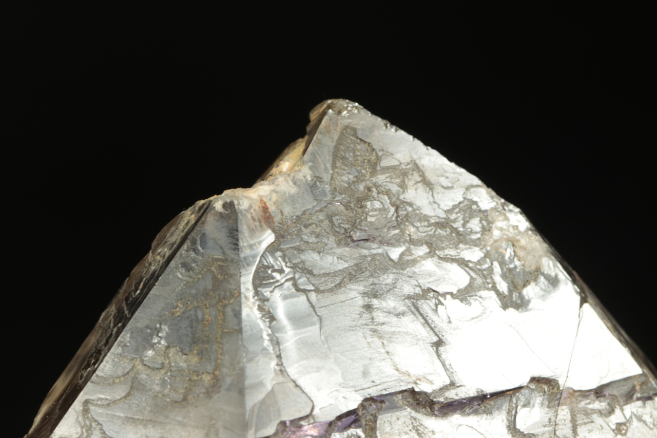 Záhněda - Obrázek 10