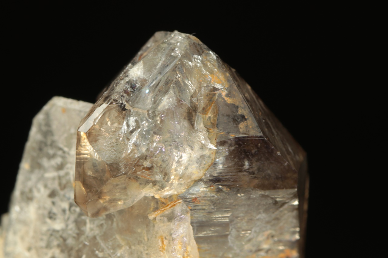 Záhněda - Obrázek 7