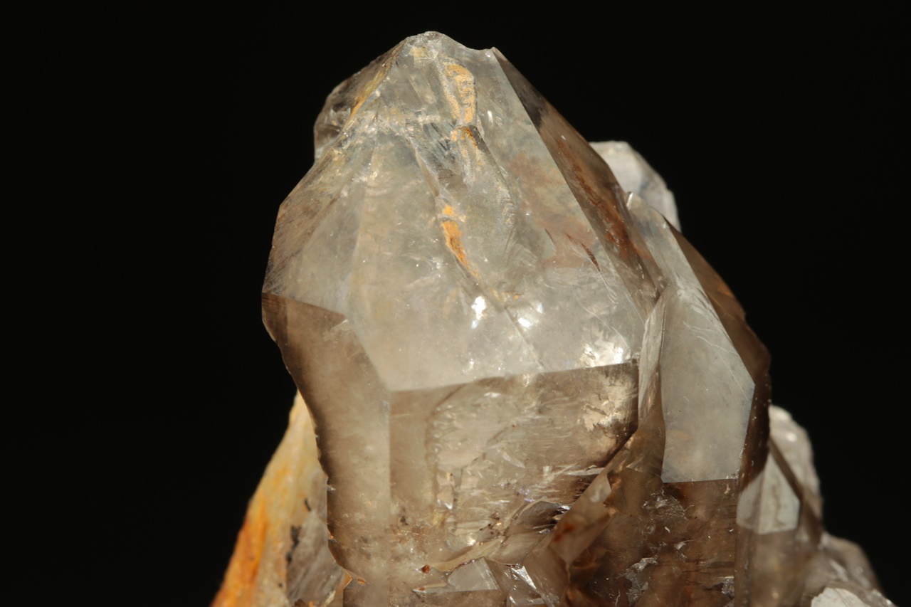 Záhněda - Obrázek 8