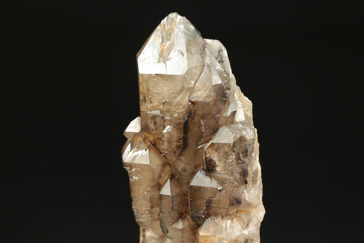 Záhněda - Obrázek 9