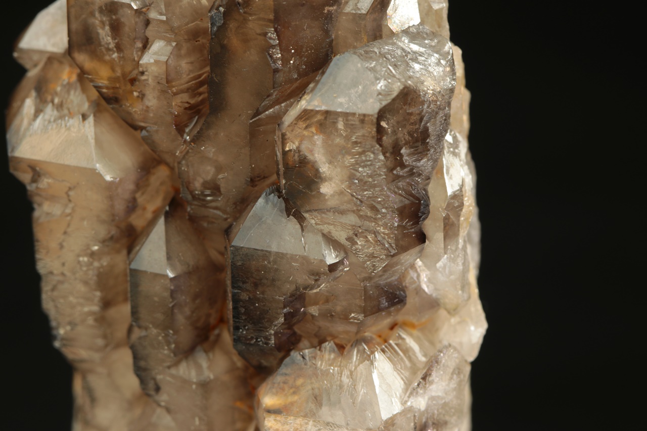 Záhněda - Obrázek 10