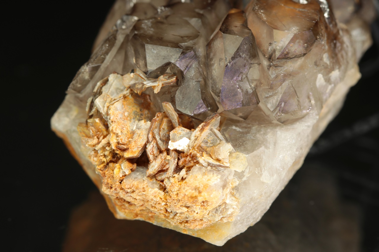 Záhněda - Obrázek 11