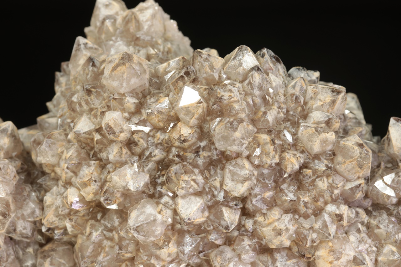 Záhněda - Obrázek 3