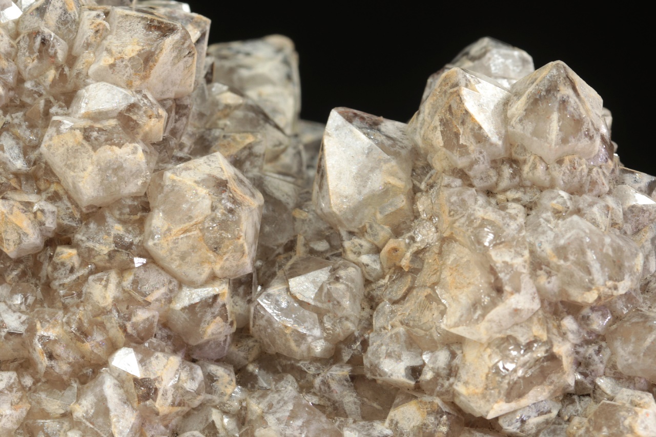 Záhněda - Obrázek 5