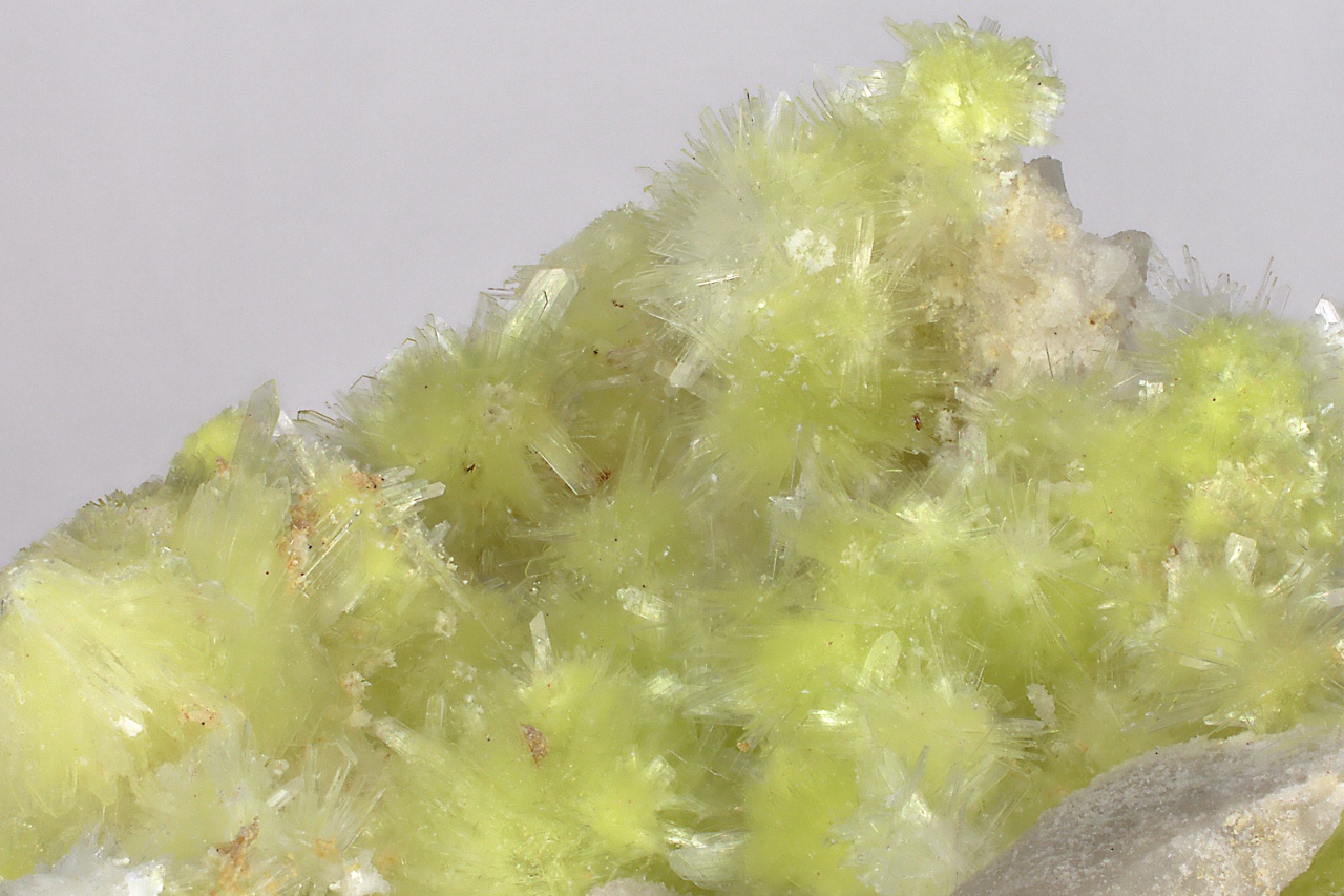 Carlhintzeit, creedit - Obrázek 10