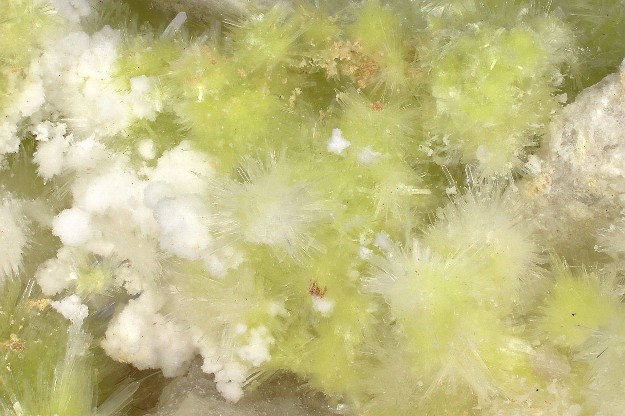 Carlhintzeit, creedit - Obrázek 11