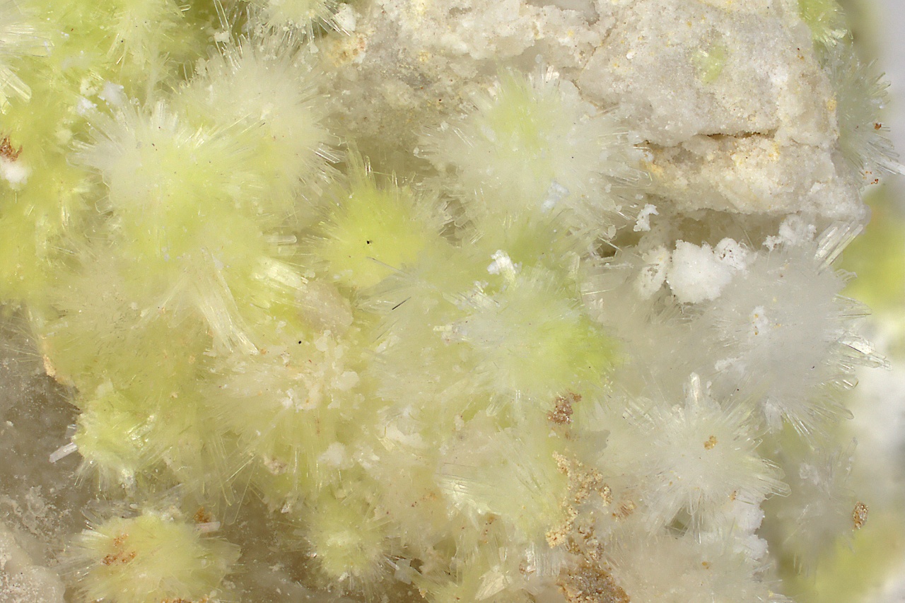 Carlhintzeit, creedit - Obrázek 12