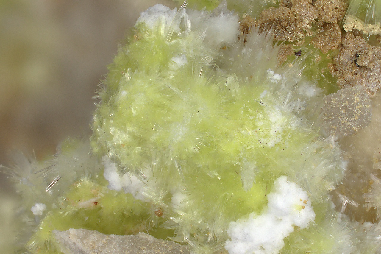 Carlhintzeit, creedit - Obrázek 13