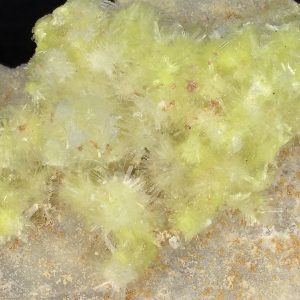 Carlhintzeit, creedit