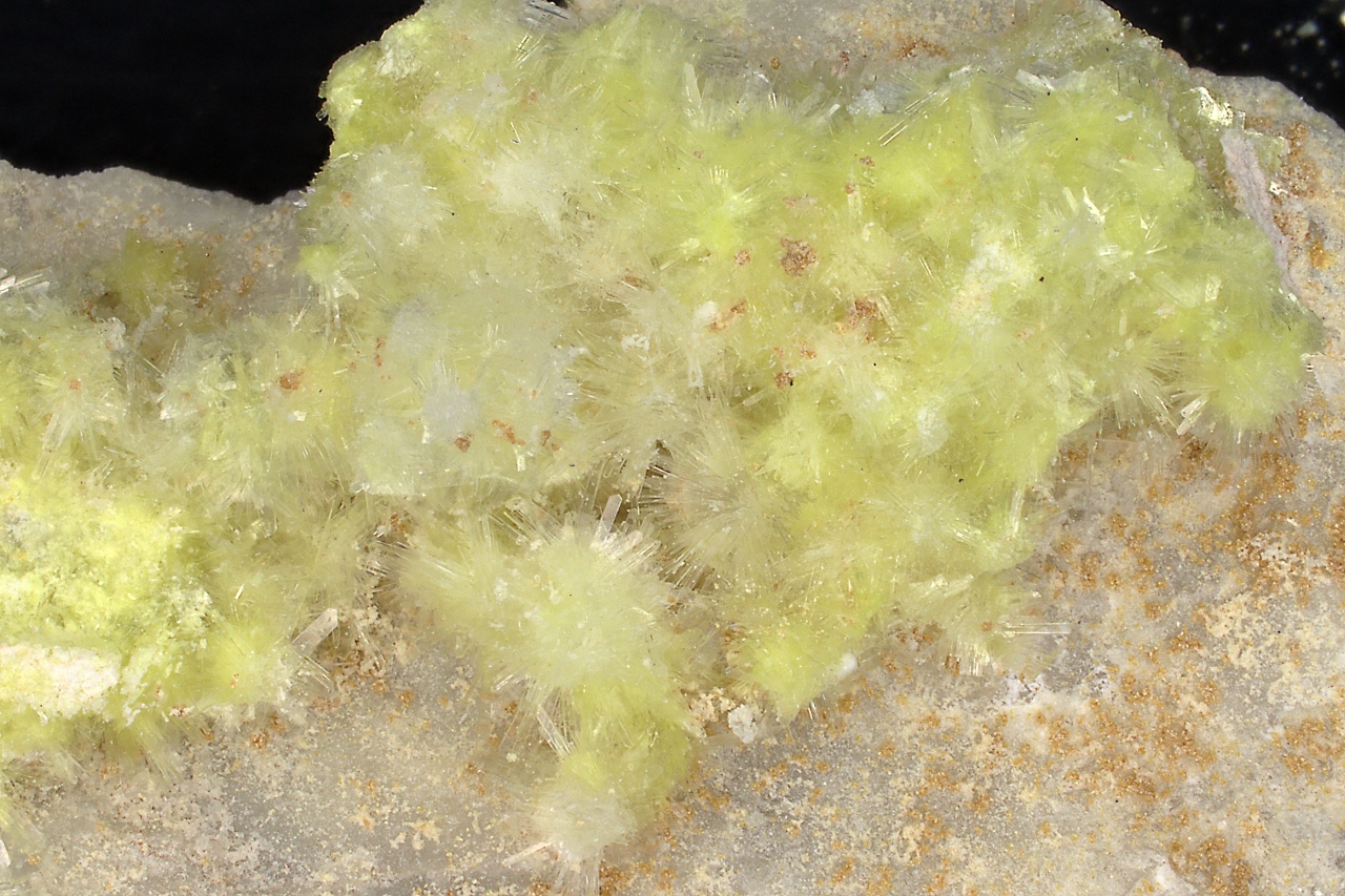 Carlhintzeit, creedit