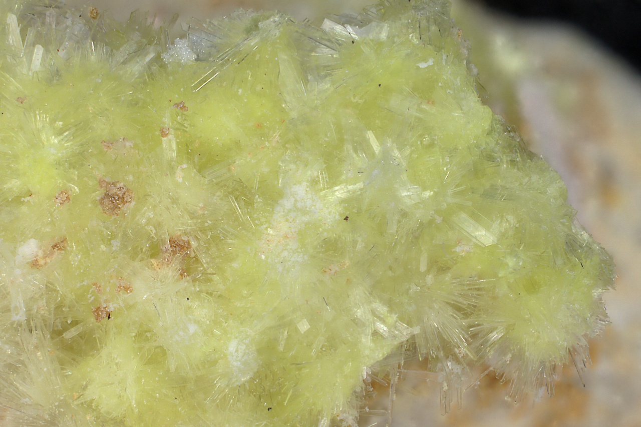 Carlhintzeit, creedit - Obrázek 5